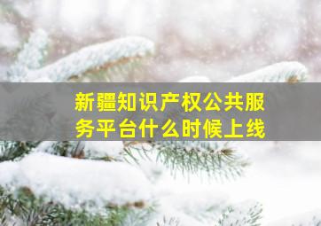 新疆知识产权公共服务平台什么时候上线