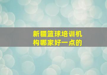 新疆篮球培训机构哪家好一点的