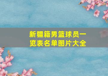 新疆籍男篮球员一览表名单图片大全