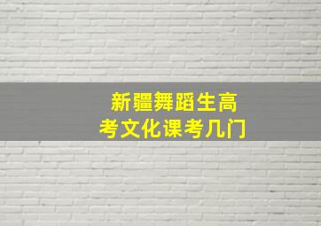 新疆舞蹈生高考文化课考几门