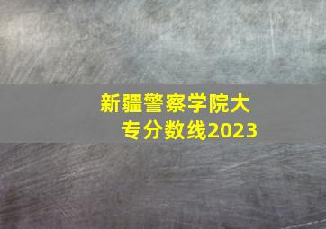 新疆警察学院大专分数线2023