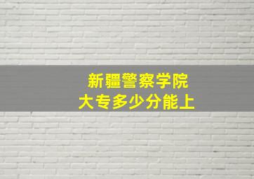 新疆警察学院大专多少分能上