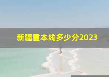 新疆重本线多少分2023