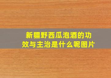 新疆野西瓜泡酒的功效与主治是什么呢图片