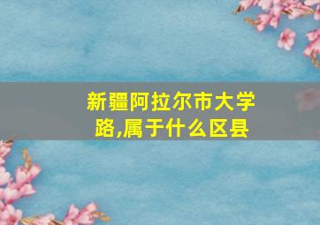 新疆阿拉尔市大学路,属于什么区县