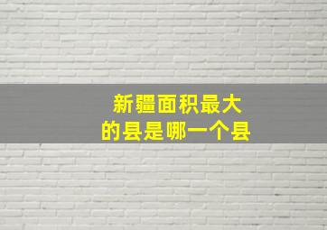 新疆面积最大的县是哪一个县