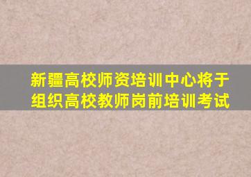 新疆高校师资培训中心将于组织高校教师岗前培训考试