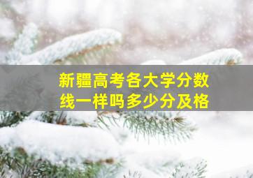 新疆高考各大学分数线一样吗多少分及格