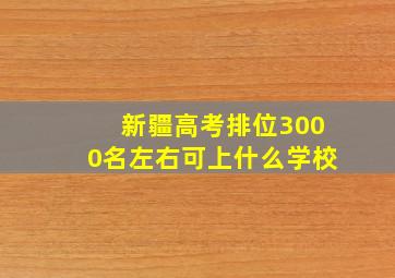 新疆高考排位3000名左右可上什么学校