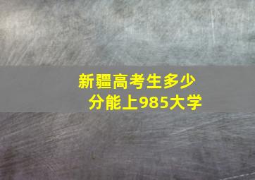 新疆高考生多少分能上985大学