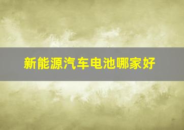 新能源汽车电池哪家好