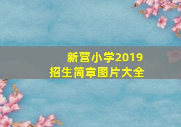 新营小学2019招生简章图片大全