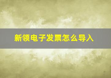 新领电子发票怎么导入