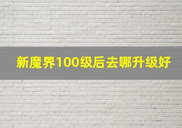 新魔界100级后去哪升级好