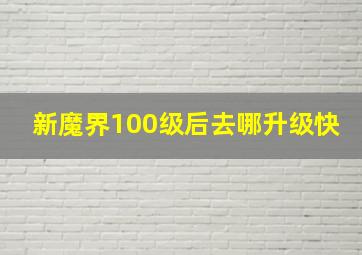 新魔界100级后去哪升级快