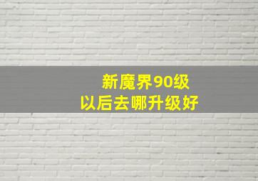 新魔界90级以后去哪升级好