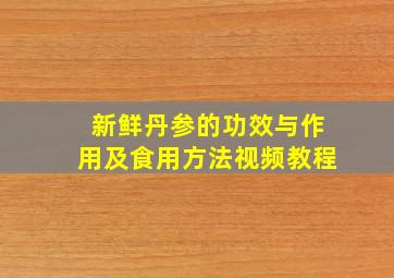 新鲜丹参的功效与作用及食用方法视频教程