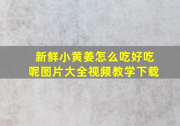 新鲜小黄姜怎么吃好吃呢图片大全视频教学下载