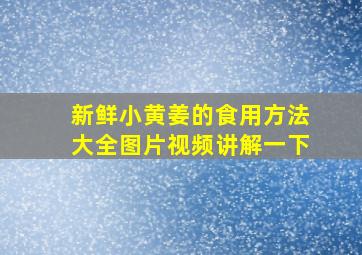 新鲜小黄姜的食用方法大全图片视频讲解一下