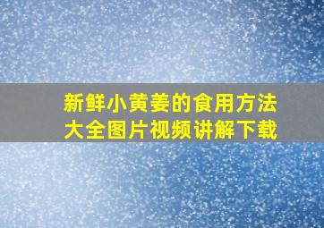 新鲜小黄姜的食用方法大全图片视频讲解下载