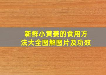 新鲜小黄姜的食用方法大全图解图片及功效