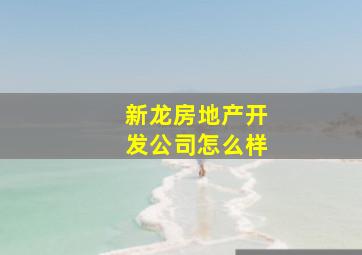 新龙房地产开发公司怎么样