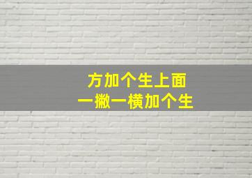 方加个生上面一撇一横加个生