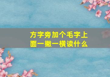 方字旁加个毛字上面一撇一横读什么