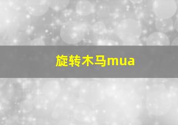 旋转木马mua