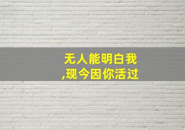 无人能明白我,现今因你活过