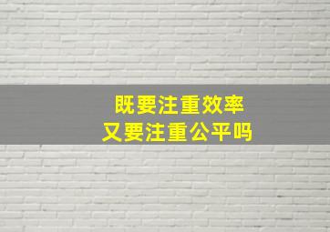 既要注重效率又要注重公平吗