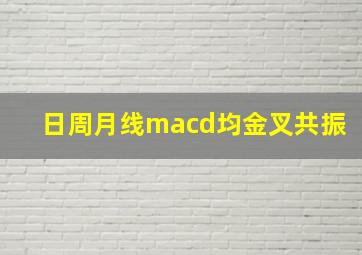 日周月线macd均金叉共振