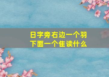 日字旁右边一个羽下面一个隹读什么