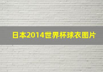 日本2014世界杯球衣图片