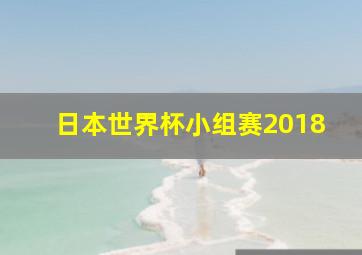 日本世界杯小组赛2018