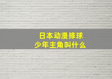 日本动漫排球少年主角叫什么