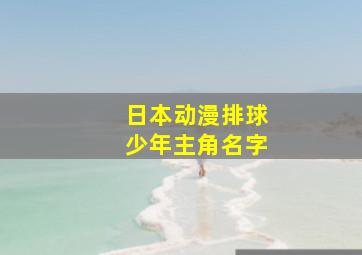 日本动漫排球少年主角名字