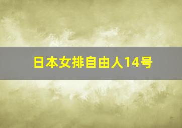 日本女排自由人14号