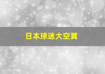 日本球迷大空翼