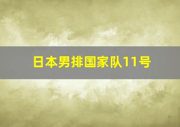 日本男排国家队11号