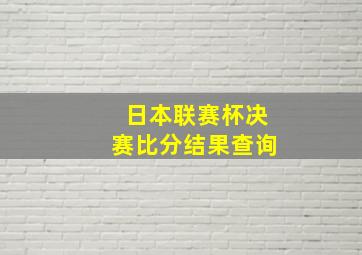 日本联赛杯决赛比分结果查询