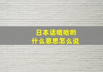 日本话哦哈哟什么意思怎么说