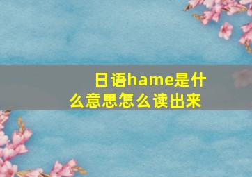 日语hame是什么意思怎么读出来