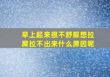 早上起来很不舒服想拉屎拉不出来什么原因呢