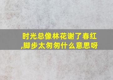 时光总像林花谢了春红,脚步太匆匆什么意思呀