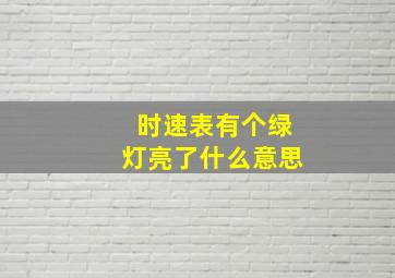 时速表有个绿灯亮了什么意思