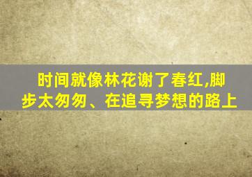 时间就像林花谢了春红,脚步太匆匆、在追寻梦想的路上