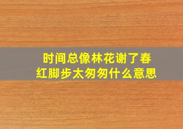 时间总像林花谢了春红脚步太匆匆什么意思