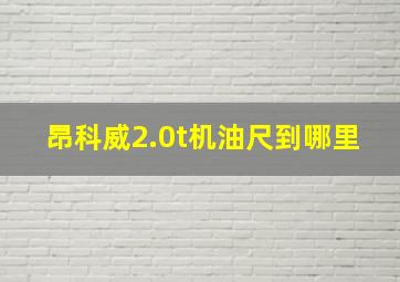 昂科威2.0t机油尺到哪里