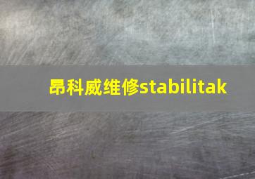 昂科威维修stabilitak